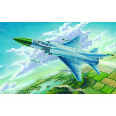 Многоцелевой самолет ОКБ Сухого-15 Flagon G арт. 02812