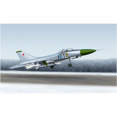 Многоцелевой самолет ОКБ Сухого-15 UM Flagon-G  арт.01625