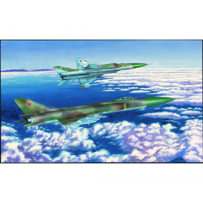 Многоцелевой самолет ОКБ Сухого-15 TM Flagon-F  арт.01623