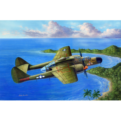 Американский истребитель P-61Б Черная Вдова (Black Widow) арт. 81730