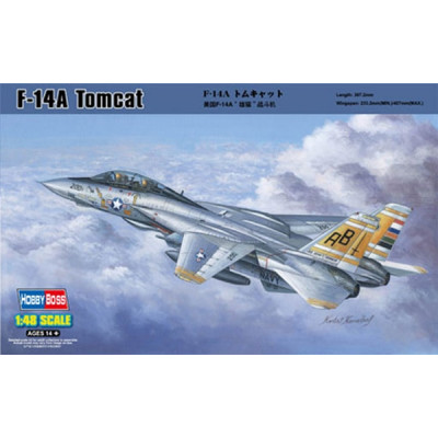 F-14 A «Томкэт» (Grumman F-14 Tomcat) - палубный истребитель ВМС США арт. 80366