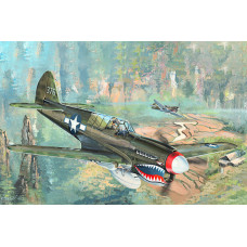Кёртисс P-40 N Kitty Hawk американский истребитель арт. 02212