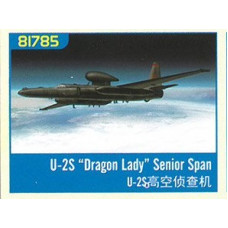 Американский самолёт-разведчик Локхид U-2S «Dragon Lady»  арт. 81785